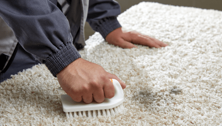 Professional Rug Cleaning Greensborough